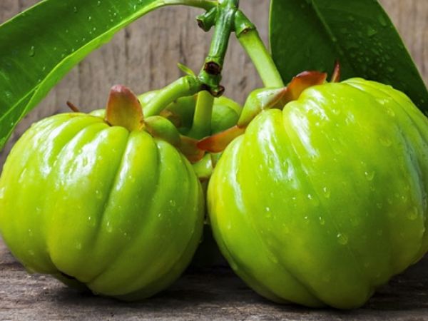 Garcinija za mršavljenje: biljka koja zaustavlja masno tkivo